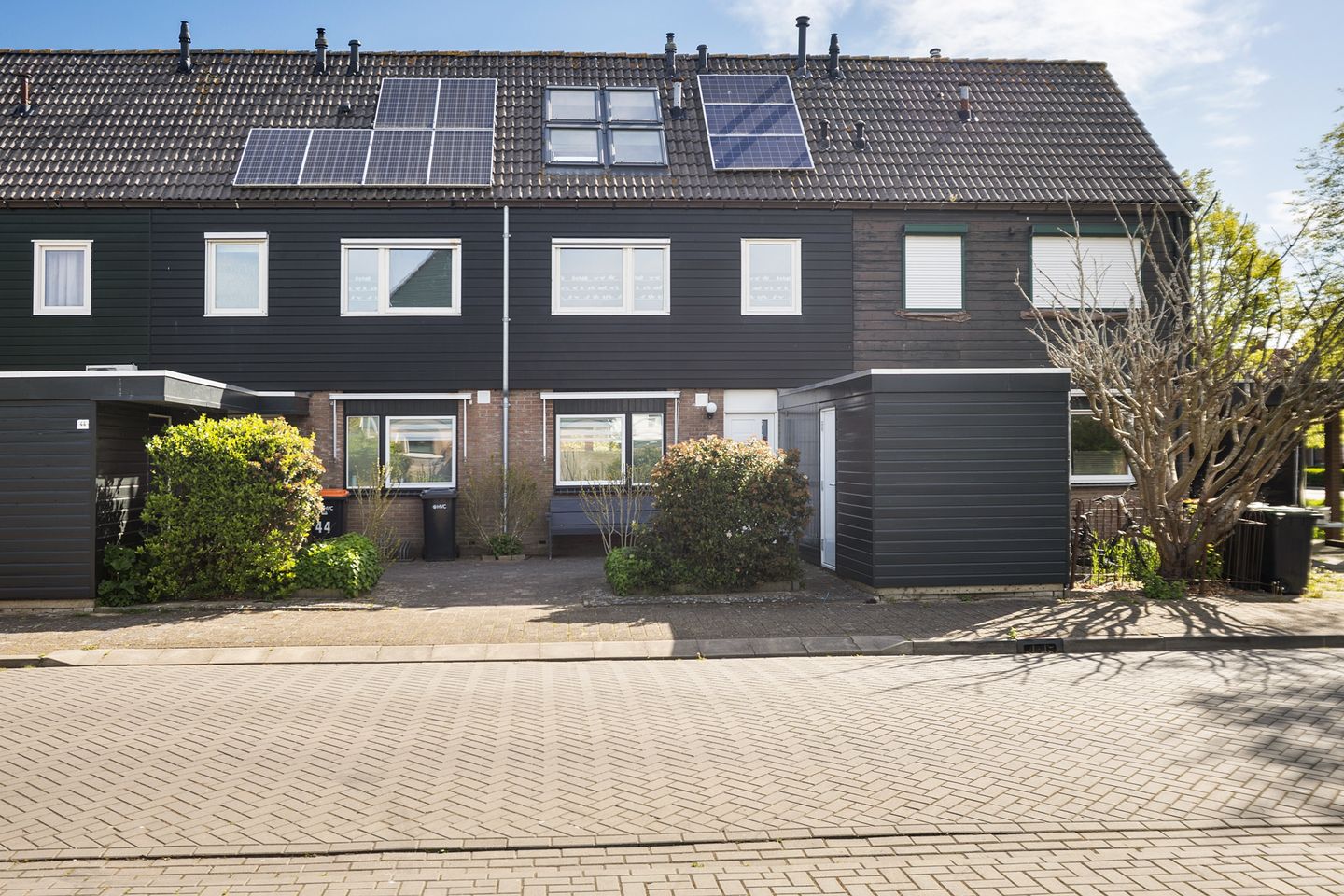 Photo 25 of Zwanebloem 45