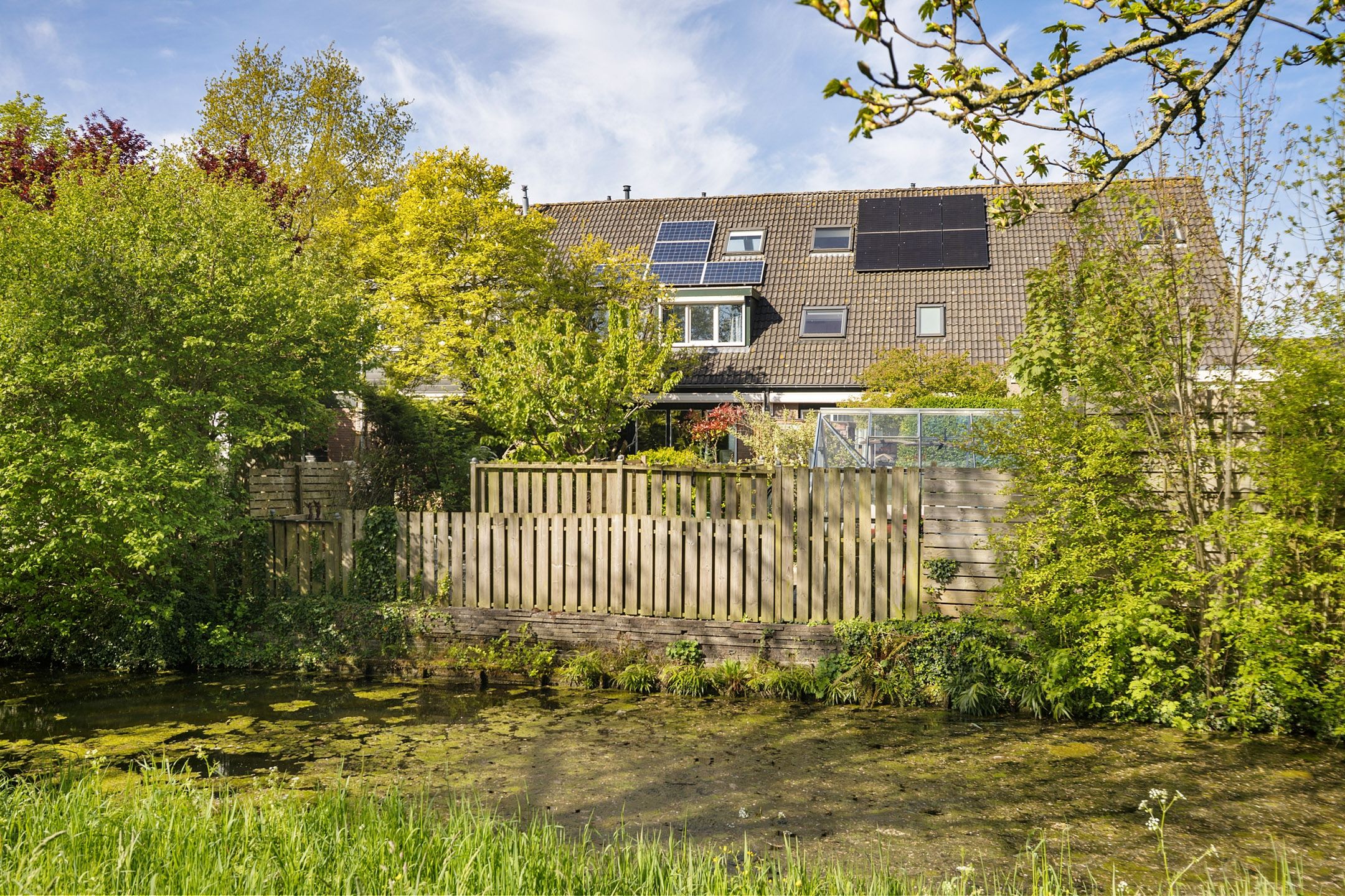 Photo 24 of Zwanebloem 45