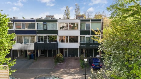 Anijsstraat thumbnail