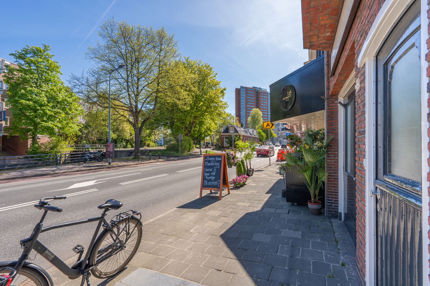 Photo 49 of Eeldersingel 38-A