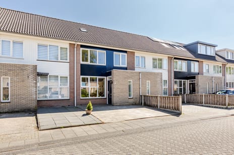 Paulus Potterstraat thumbnail