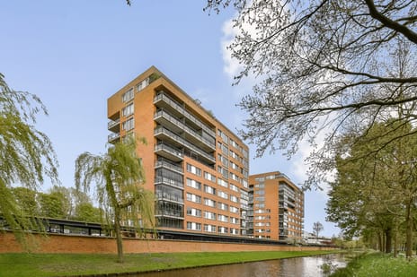 Theseusstraat thumbnail