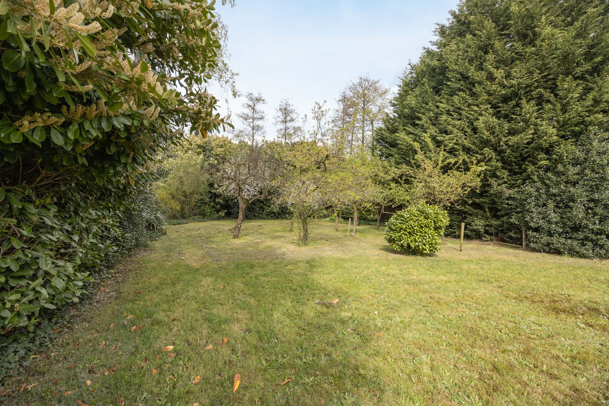 Photo 51 of Markweg 4-A