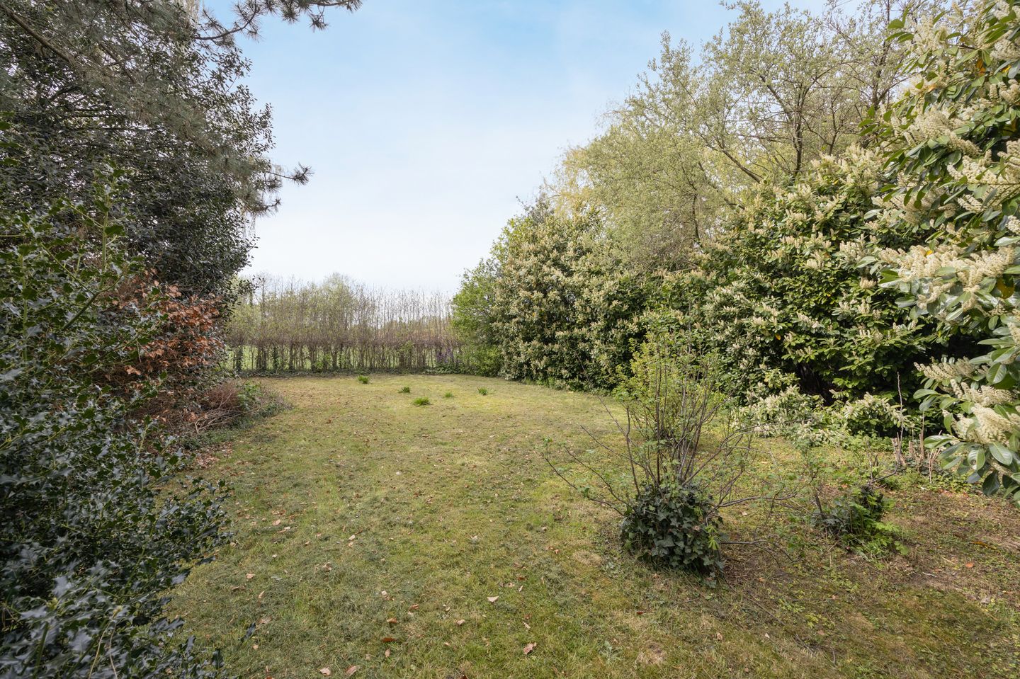 Photo 44 of Markweg 4-A