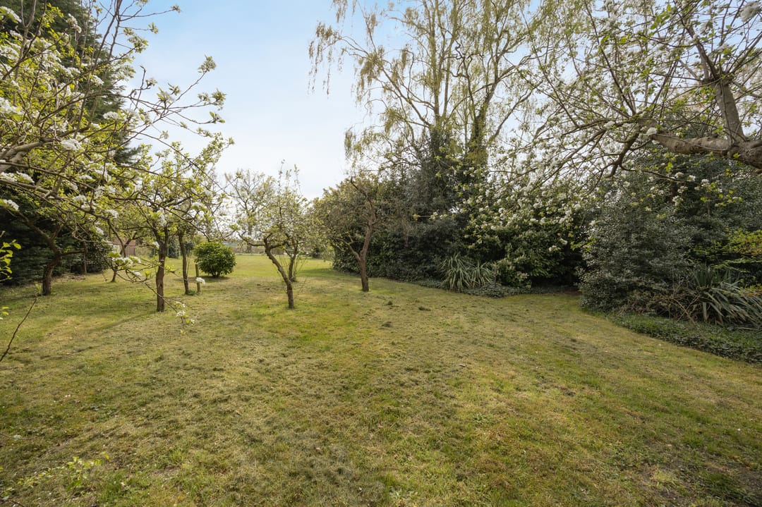 Photo 52 of Markweg 4-A