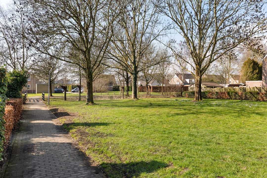 Photo 32 of Hornstukken 42