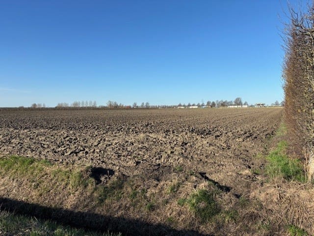 Plasseweg - Waarde - Afbeelding 7