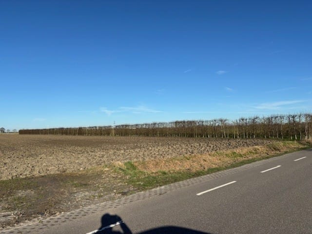 Plasseweg - Waarde - Afbeelding 3