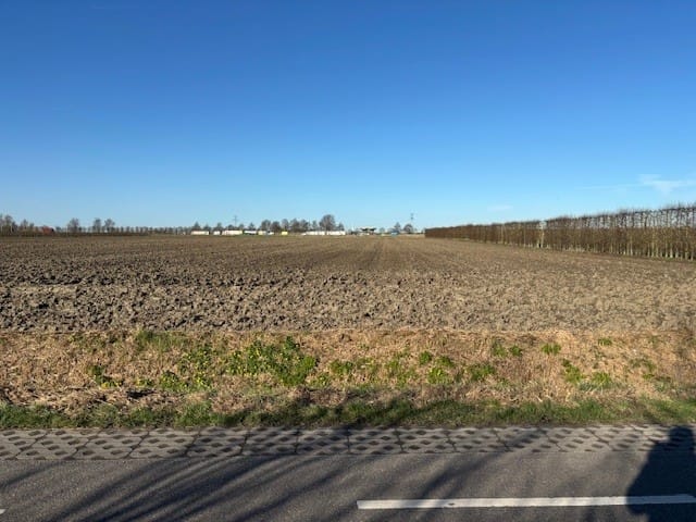 Plasseweg - Waarde - Afbeelding 6