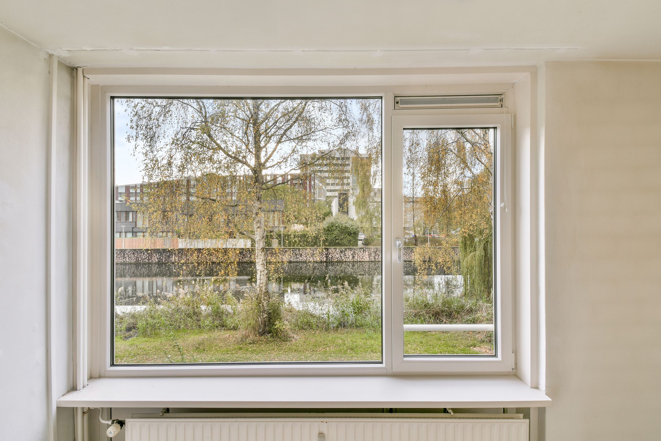 Photo 6 of Frieslandstraat 169
