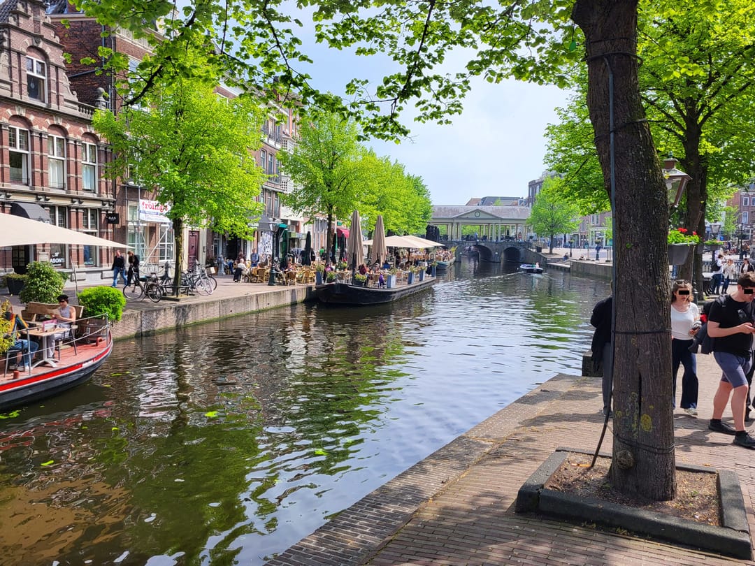 Photo 2 of Nieuwe Rijn 8
