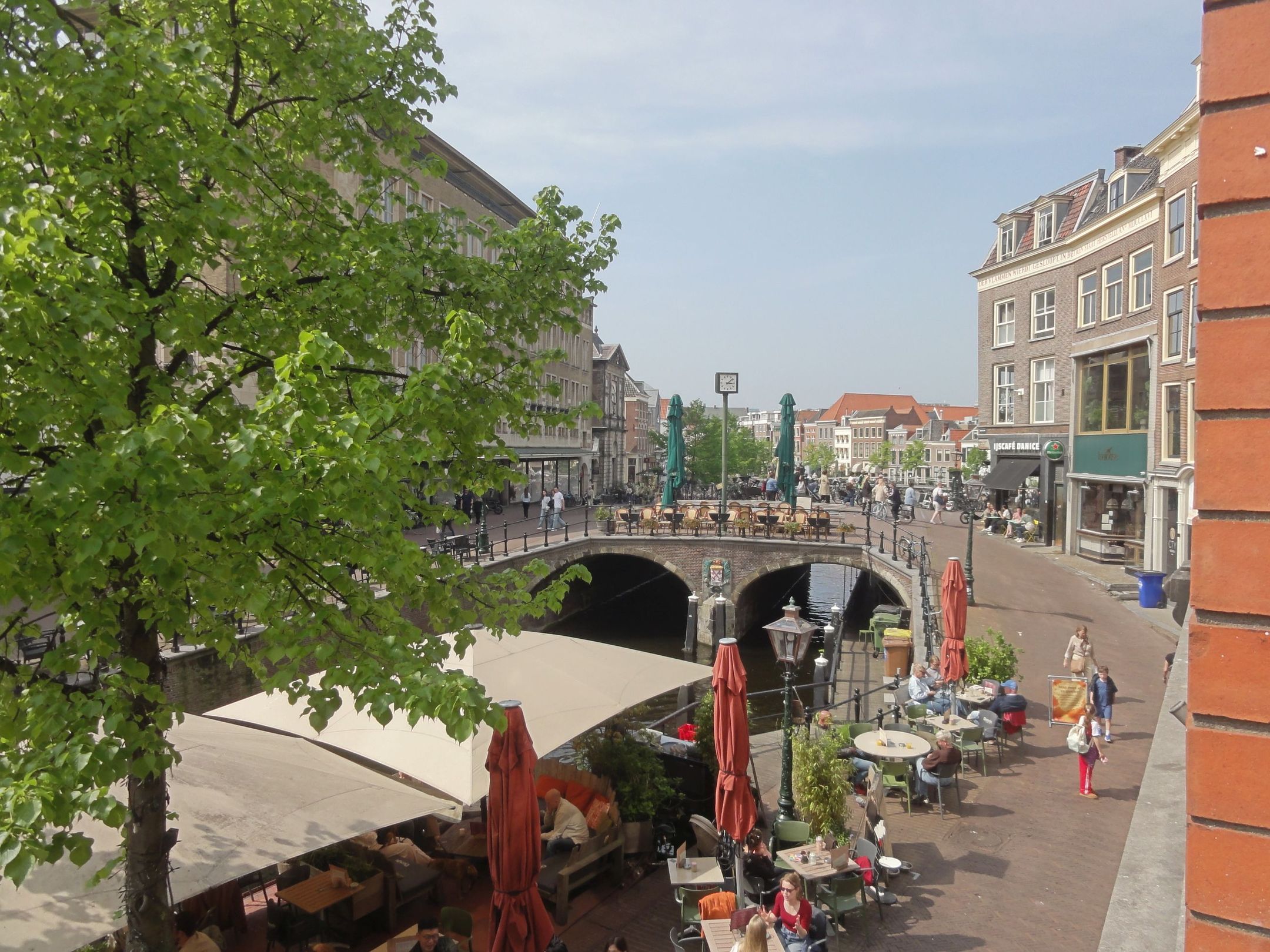 Photo 21 of Nieuwe Rijn 8