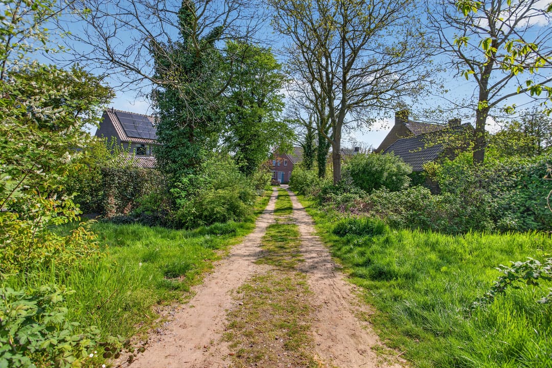 Photo 62 of Donkbeemd 22