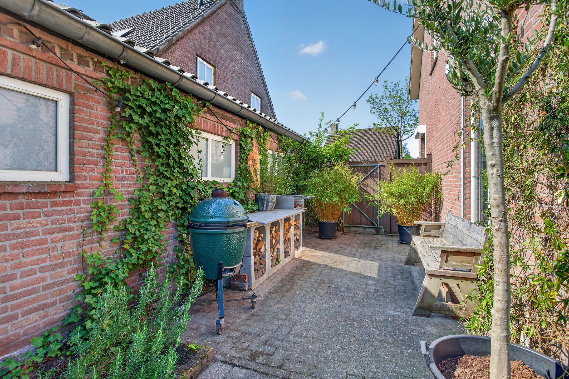 Photo 54 of Donkbeemd 22