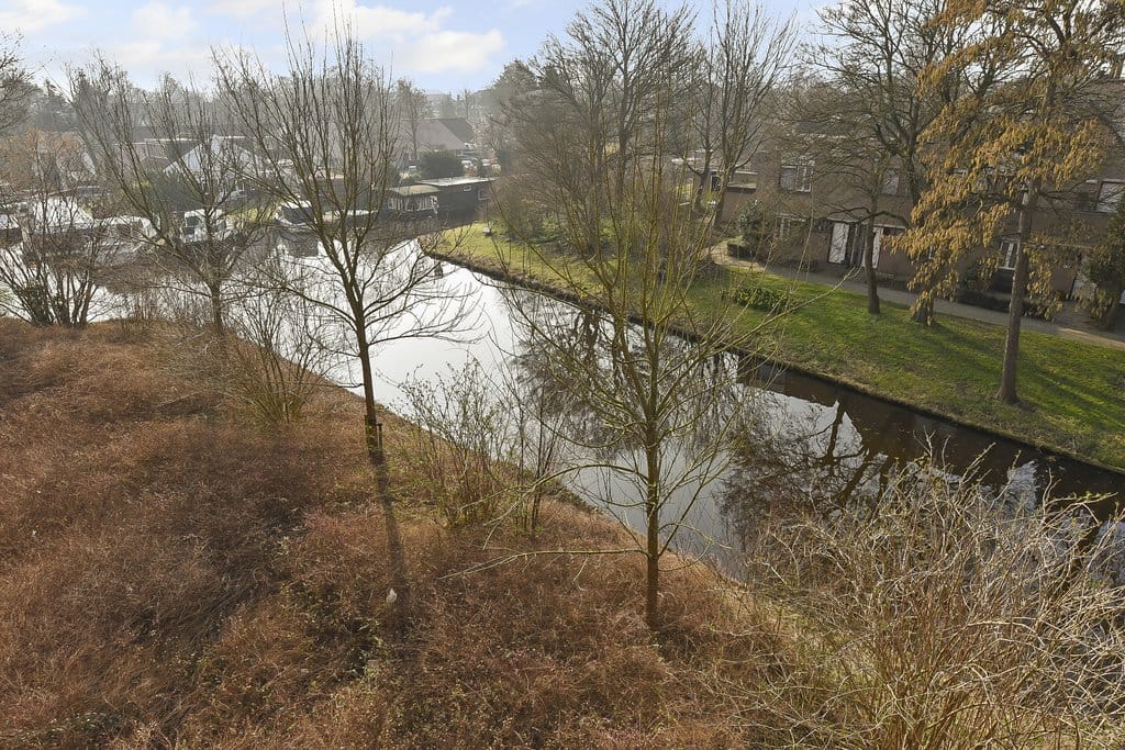 Photo 24 of Mauritshof 28
