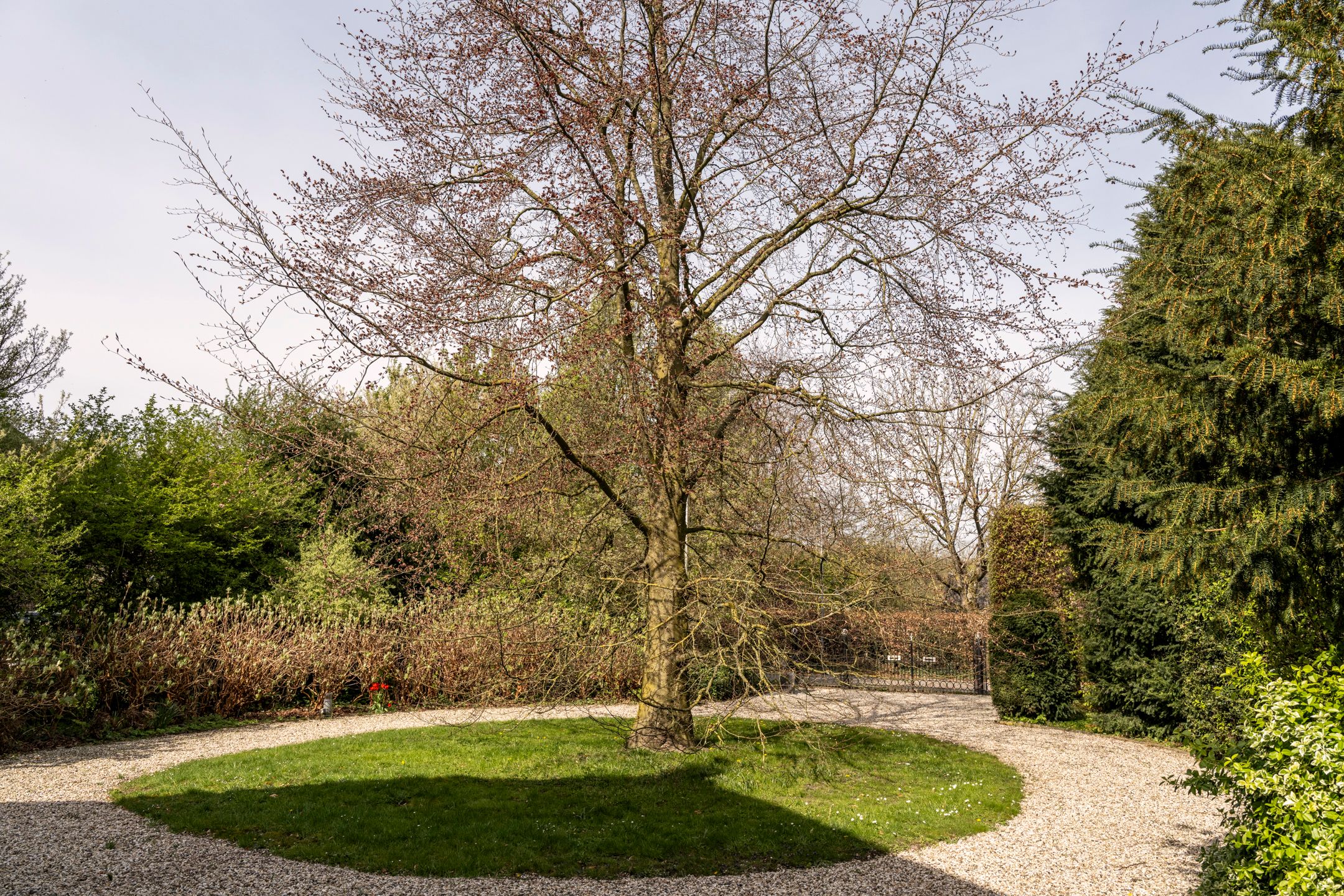 Photo 3 of Uiterdijk 4