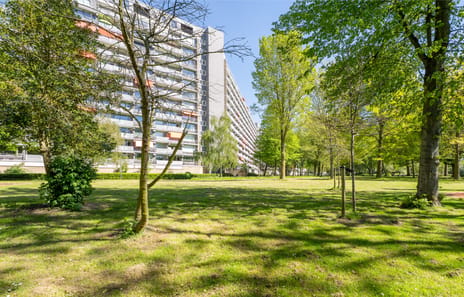Chopinplein thumbnail