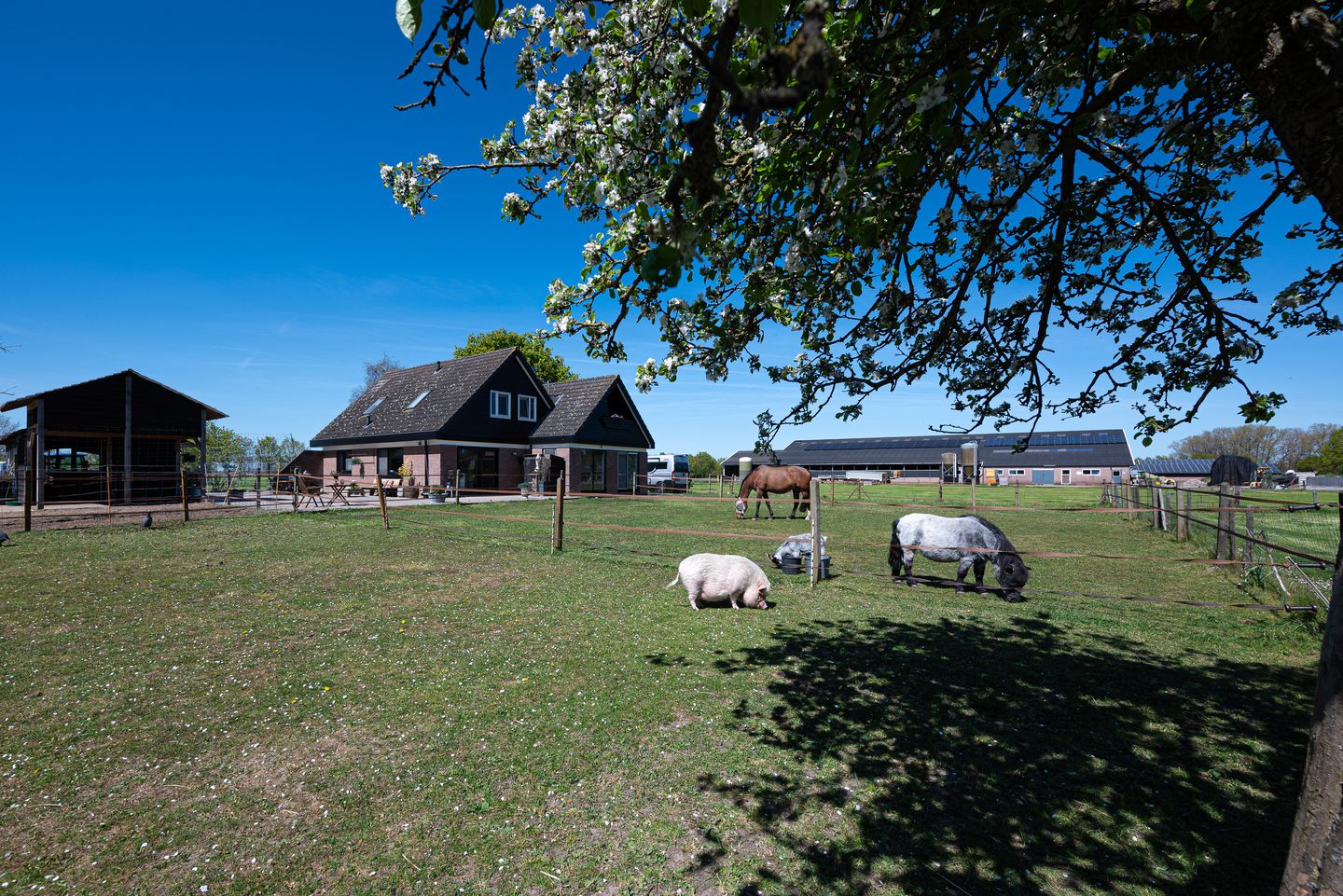 Foto 4 van Bosweg 12