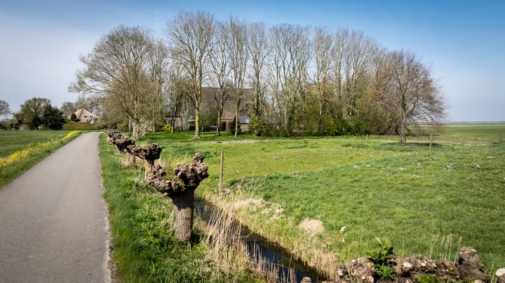 Foto 4 van Buurtsteeg