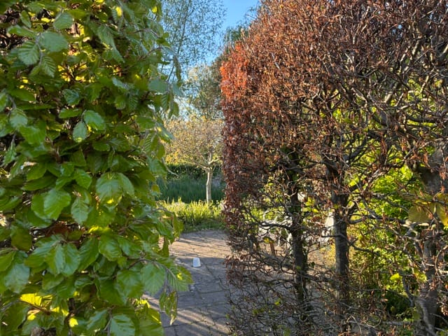 Photo 91 of Dorpsstraat 226
