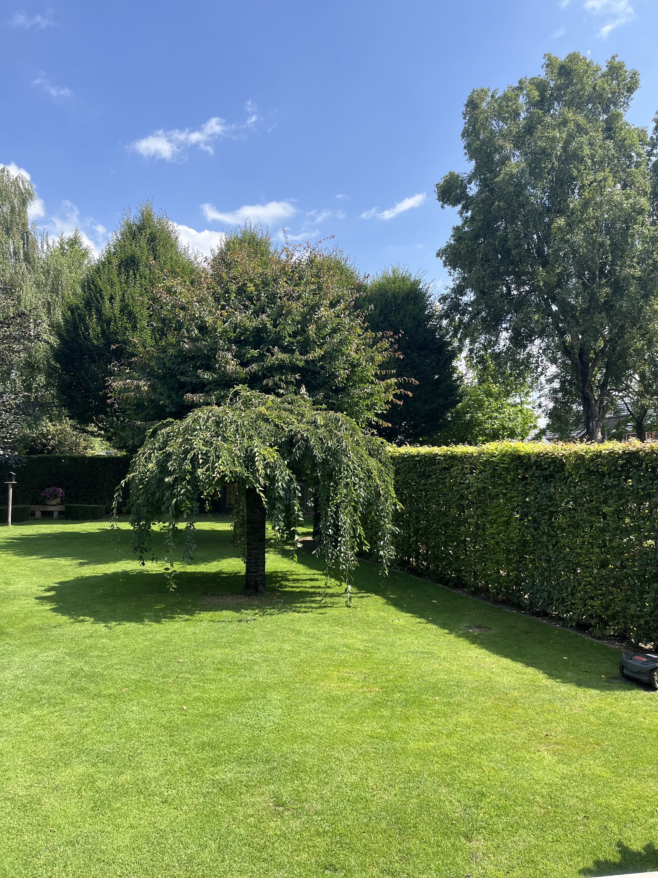 Unique Villa with Delightful Garden — 69