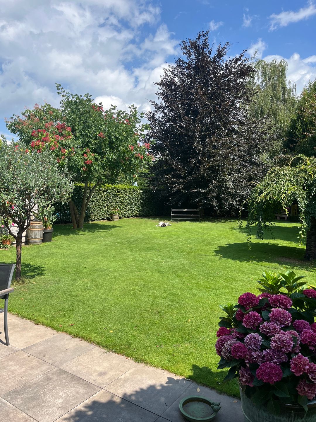 Unique Villa with Delightful Garden — 67