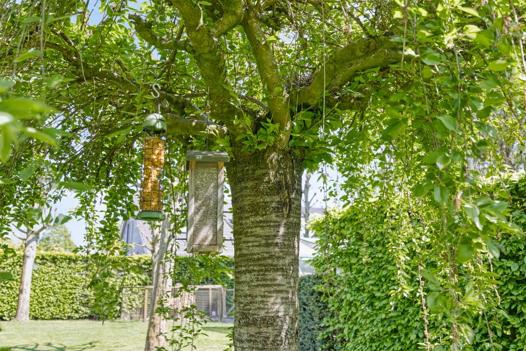 Unique Villa with Delightful Garden — 62