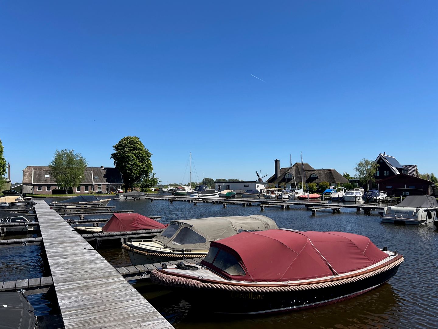 Foto 5 van Europaplantsoen 25