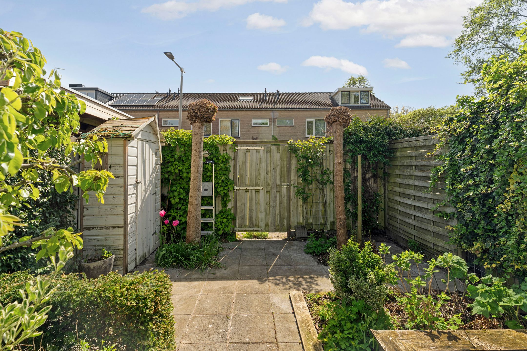 Photo 33 of Oudenboschstraat 15