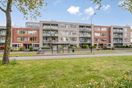 Koning Stadhouderlaan thumbnail