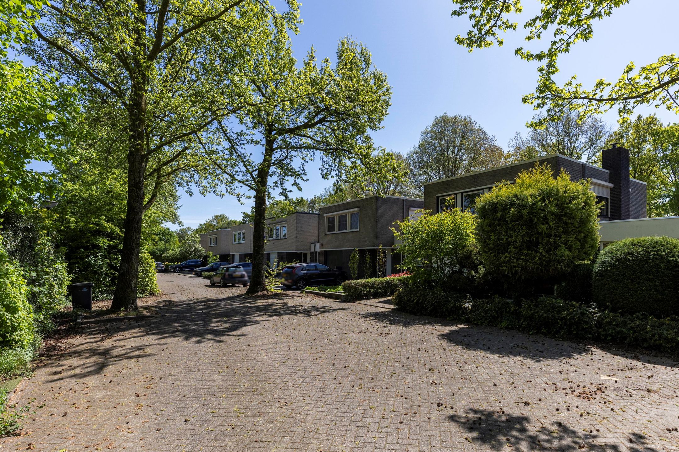 Photo 48 of Richellaan 10