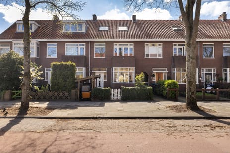 Brouwersdijk thumbnail