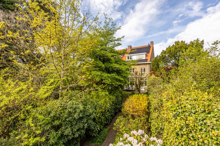 Foto 2 van Adriaan Pauwlaan 3