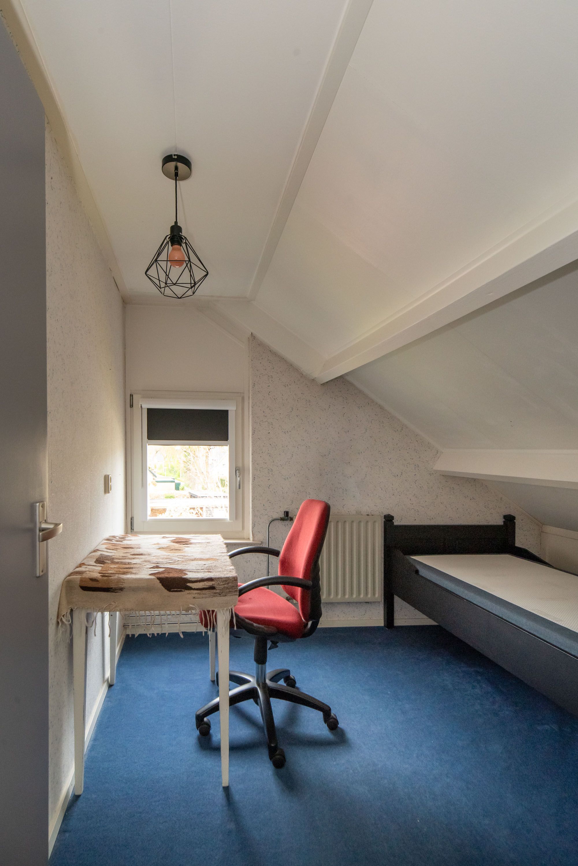 Photo 45 of Pastoor Petersstraat 54