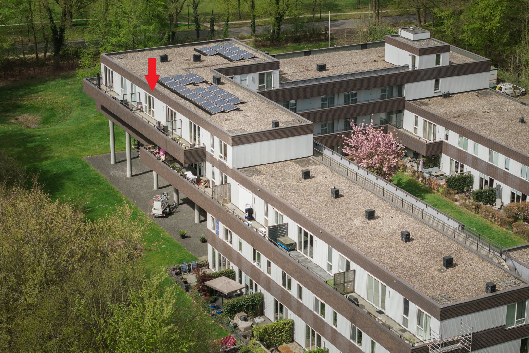 Derk Brouwerstraat 79 