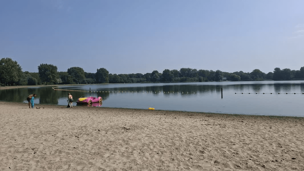 Photo 46 of Wollegras 17