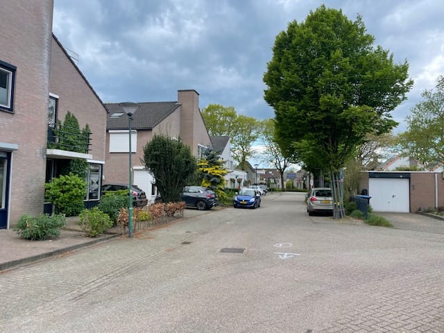 Photo 9 of Elbeplantsoen 73