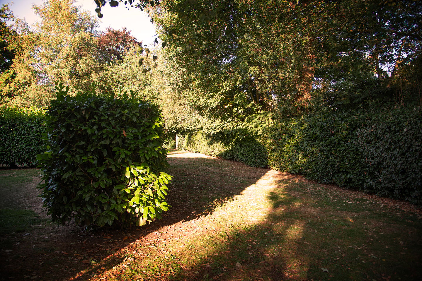 Foto 44 van Park Sans Souci 13-A