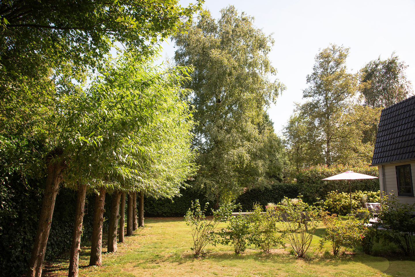 Foto 49 van Park Sans Souci 13-A