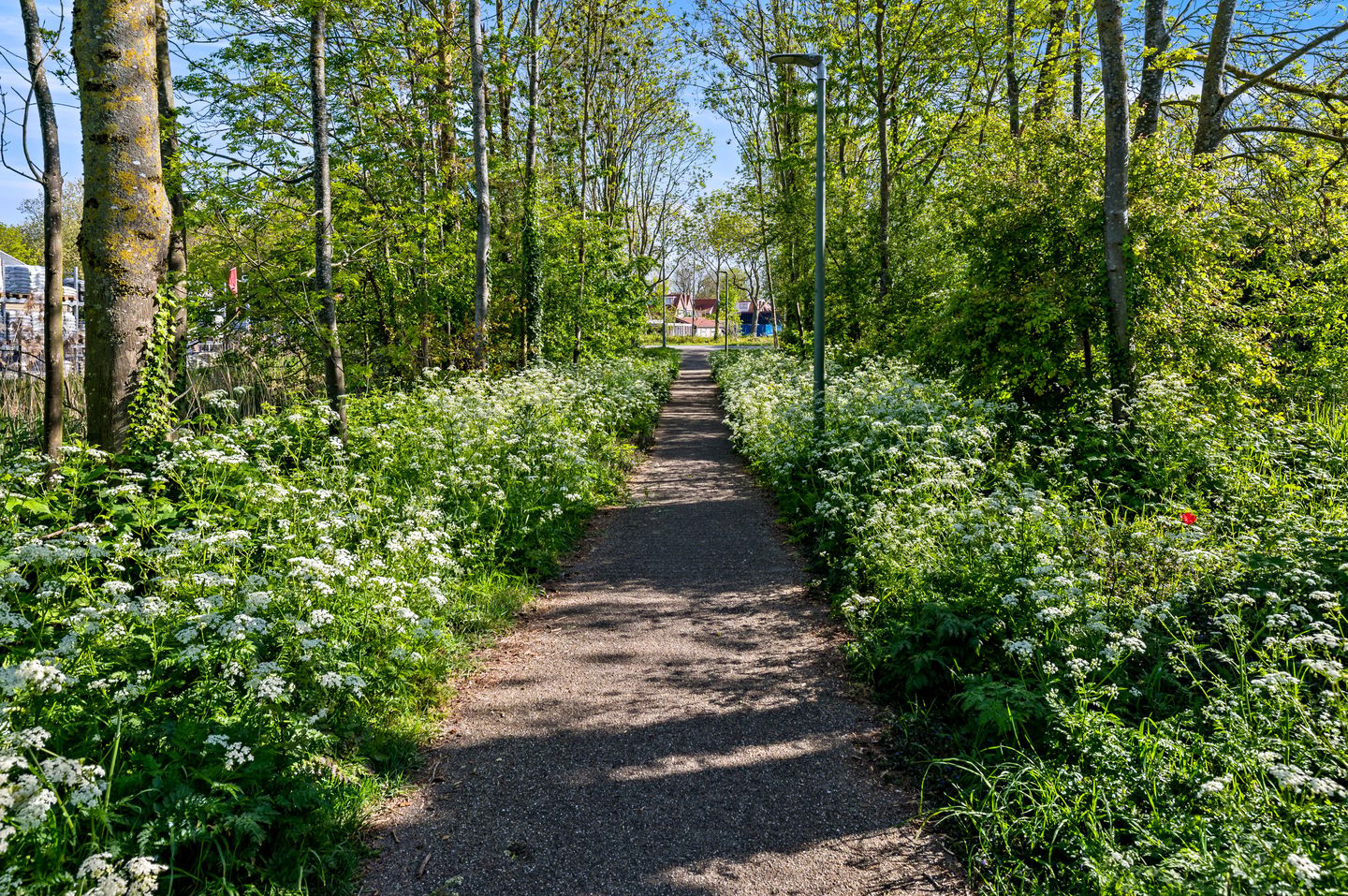 Photo 40 of Laurierstraat 53