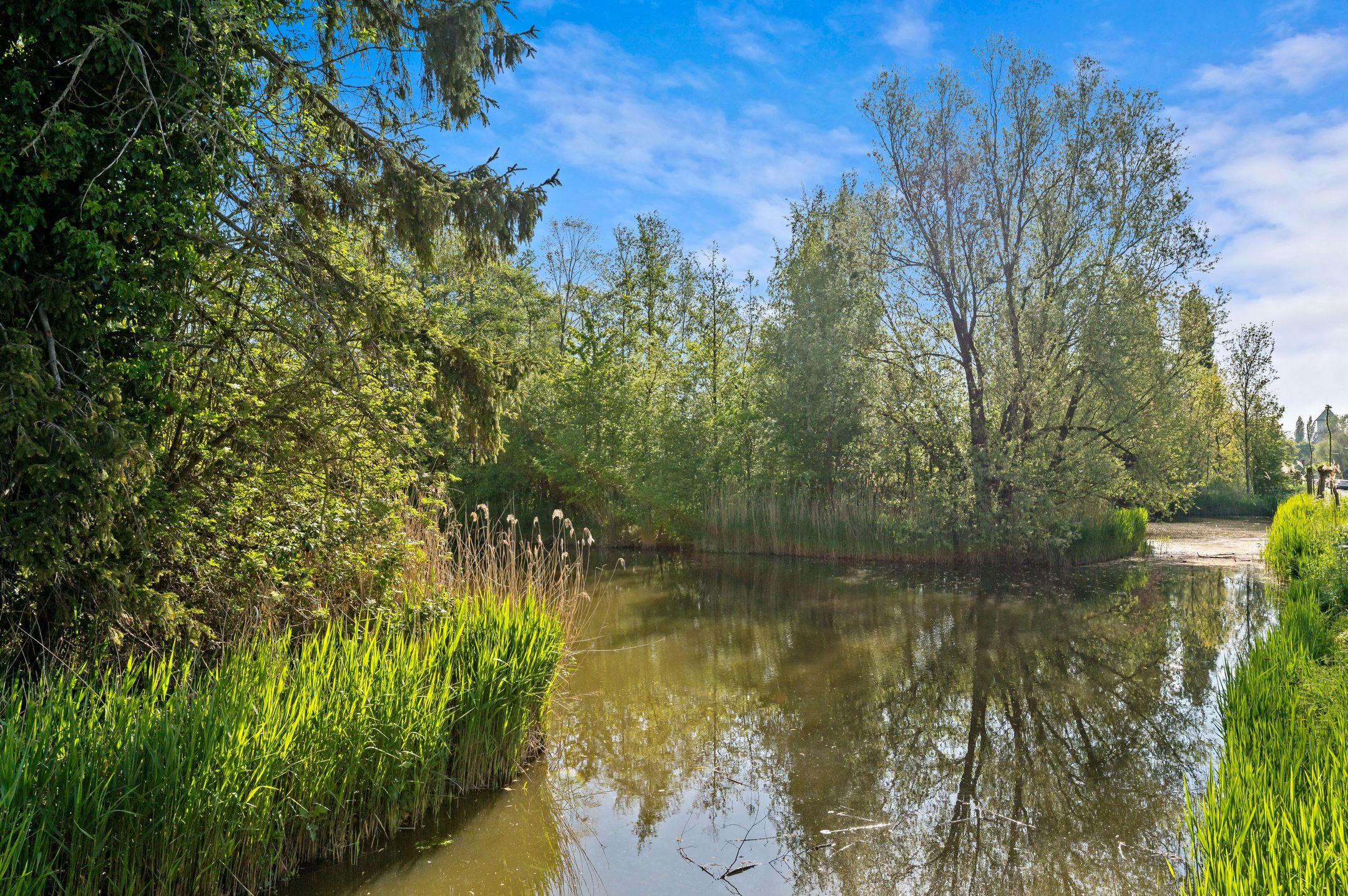 Photo 42 of Laurierstraat 53