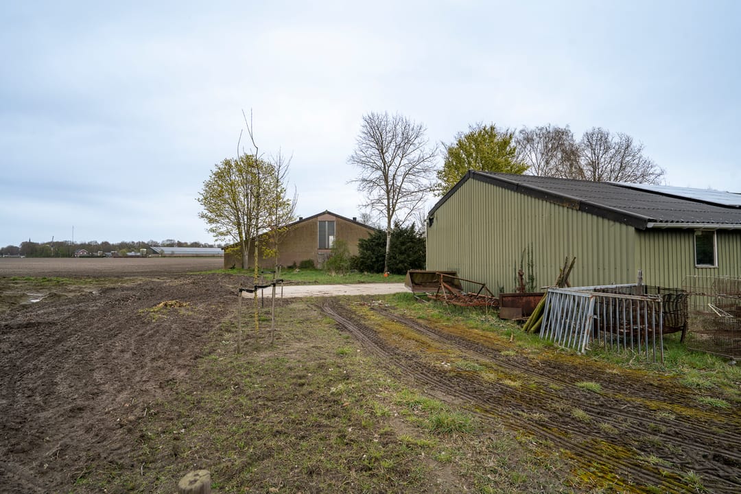 Foto 53 van Enge Steeg 4