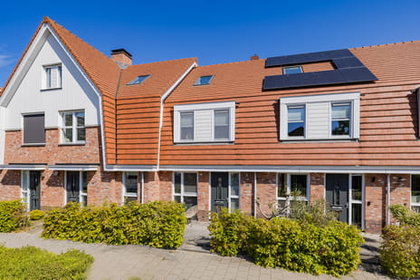 Lupinesingel thumbnail