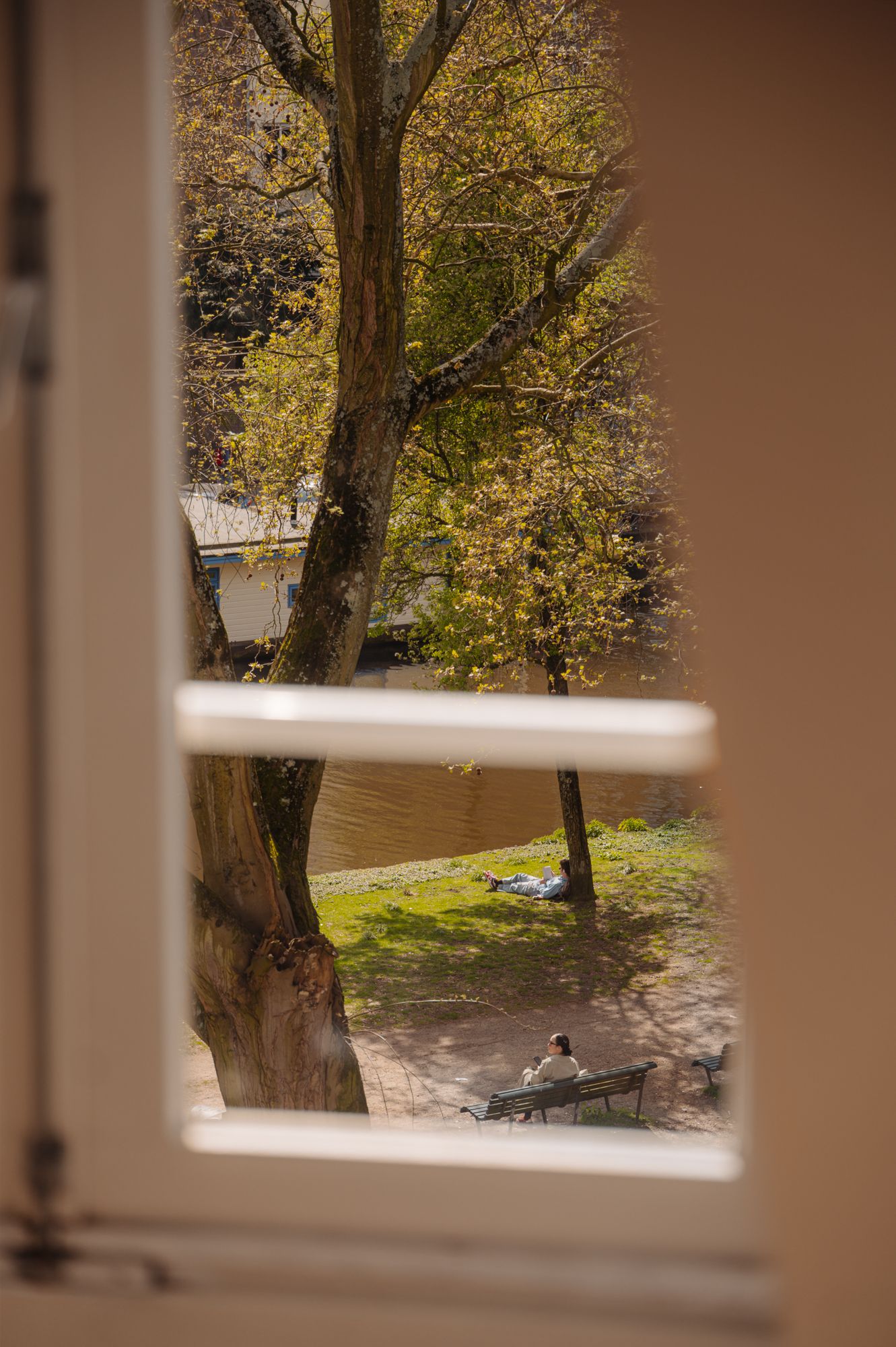 Photo 12 of Plantage Muidergracht 3