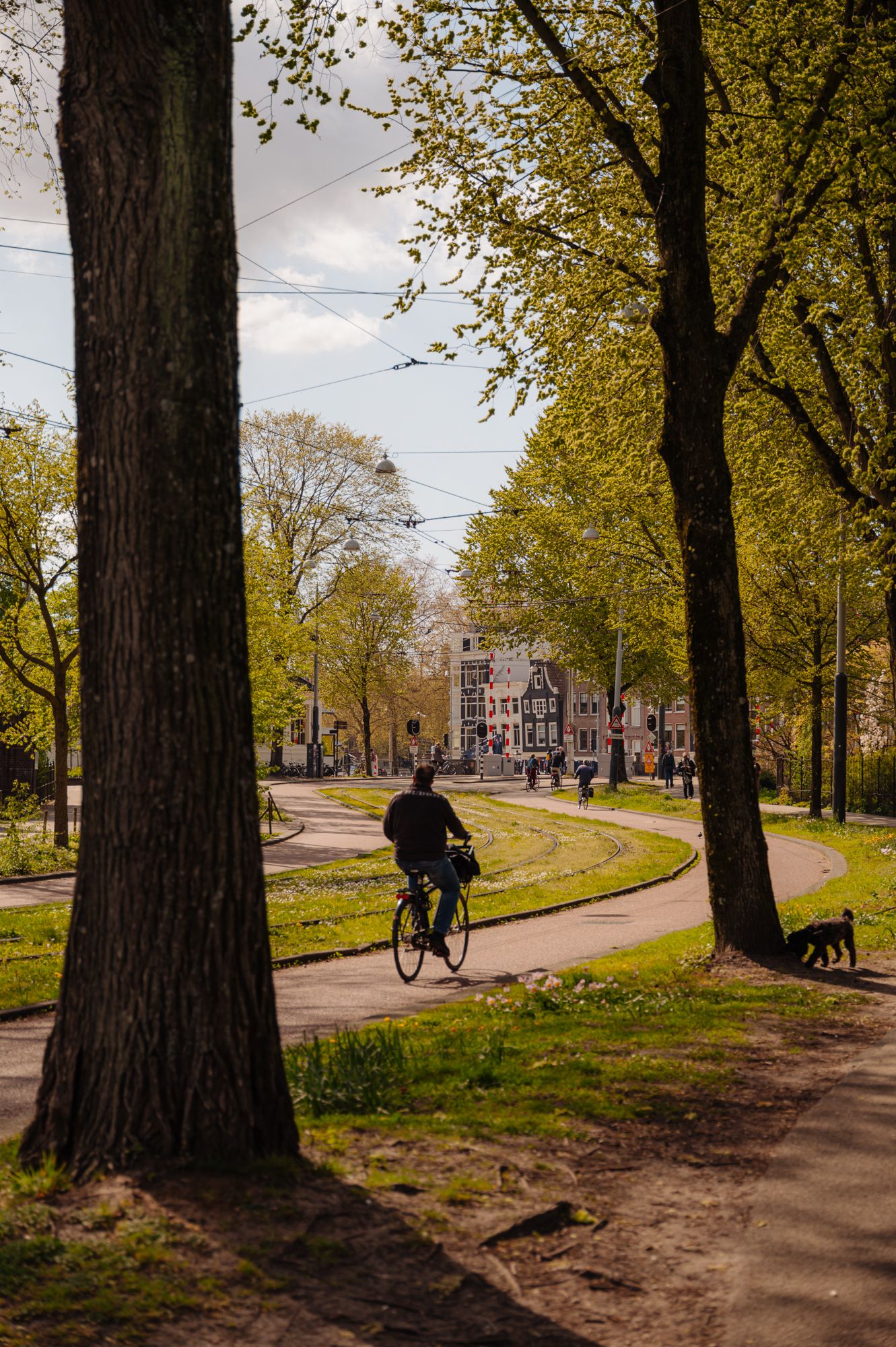 Photo 29 of Plantage Muidergracht 3