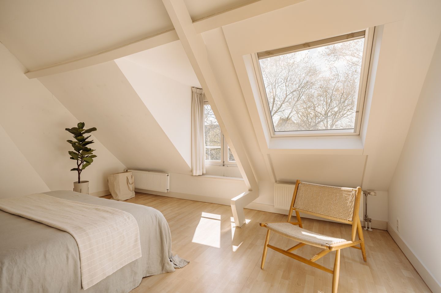 Photo 4 of Plantage Muidergracht 3