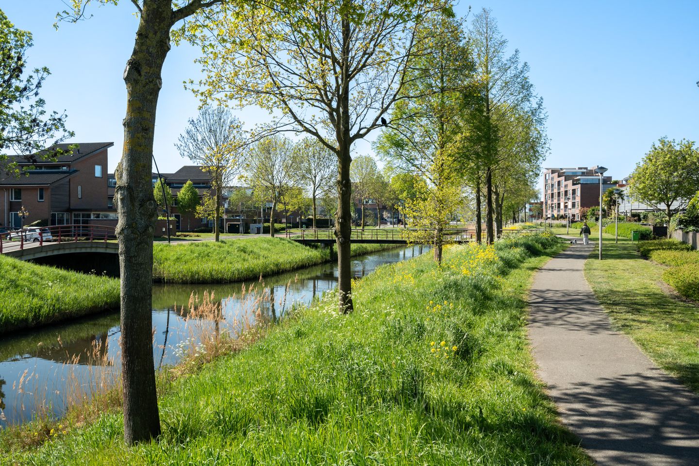Photo 44 of Oltmansstraat 6