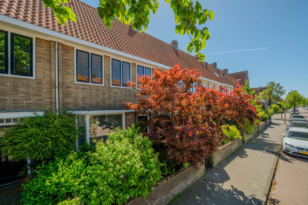 Photo 8 of Alard du Hamelstraat 41