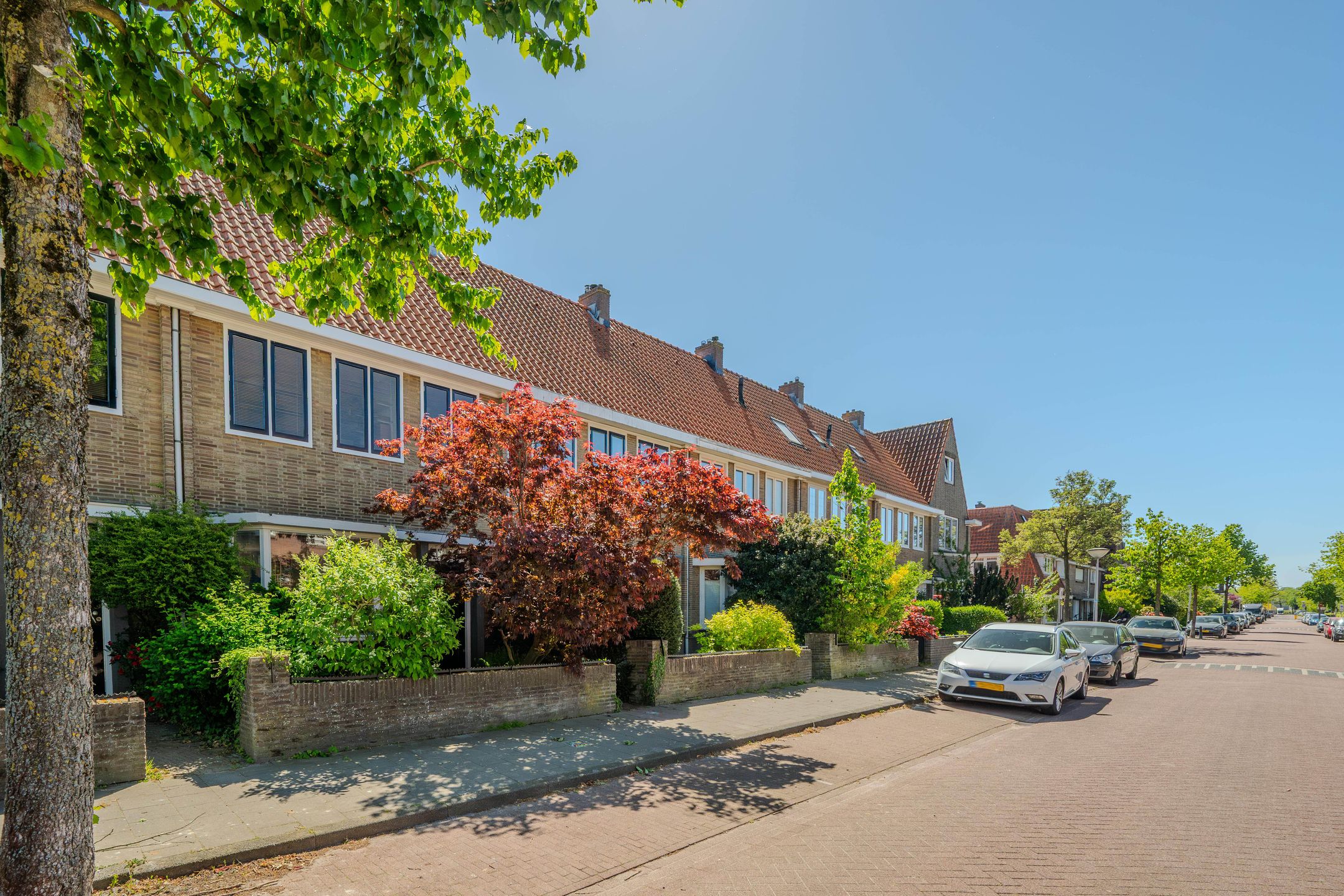 Photo 6 of Alard du Hamelstraat 41