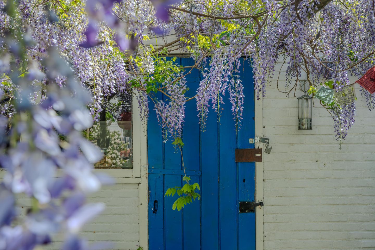 Photo 50 of Alard du Hamelstraat 41